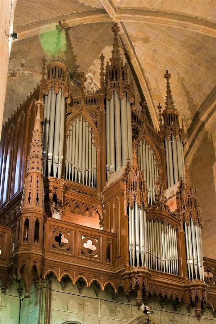 Exposition Assistez Un Concert D Orgue Et D Couvrez Son