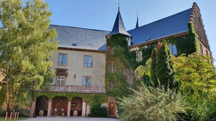 Exposition D Couverte D Un Ch Teau Et Son Oenoth Que Kaysersberg