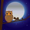 Balade Nocturne Insolite