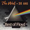 Best Of Floyd
