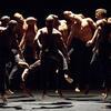 Compagnie Alvin Ailey