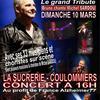 Concert tribute Michel Sardou "Merci Michel"
