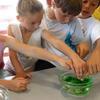 Expériences Scientifiques Sur Le Thème Du Sel Des Marais