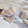Exposition peintures au pastel sec par Isabelle Douzamy