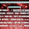 Fête Du Bruit Dans Landerneau Pass V/S