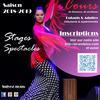 Flamenco en Auvergne
