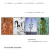 Exposition collective Pierre Bonard - Alexandra Breznay - Elisabeth Laplante - Brigitte Massalve