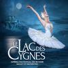 Le Lac Des Cygnes
