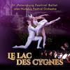 Le Lac Des Cygnes