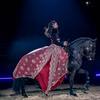 Les curies Irsea - Real Horse - Cabaret Equestre