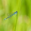 La Biodiversité Quesaco ?
