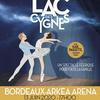 Mon Premier Lac Des Cygnes