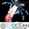 Océan, Une Plongée Insolite
