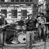 The Fanatiks