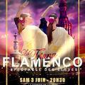 Gala de danse flamenco