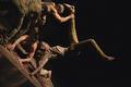 Danse dans le Puy-de-Dôme en 2020 et 2021