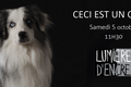 Expositions dans les Pyrénées-Orientales en 2019
