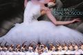 Danse dans le Finistère en 2021 et 2022