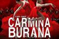Danse dans le Morbihan en 2020 et 2021