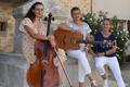 Concerts dans l' Ardèche en 2021 et 2022