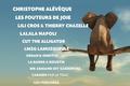 Festival dans le Vaucluse en 2019 et 2020