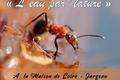 Expositions dans le Loiret en 2020