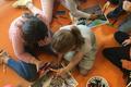 Expositions dans le Doubs en 2020