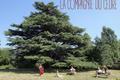 Festival dans le Loir-et-Cher en 2019 et 2020