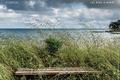 Expositions dans le Morbihan en 2020