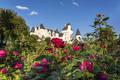 Festival dans l' Indre-et-Loire en 2021