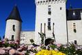 Festival dans l' Indre-et-Loire en 2018 et 2019