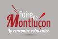 Expositions dans l' Allier en 2020