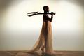 Danse dans la Drôme en 2019