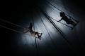 Art du spectacle dans le Gard en 2019
