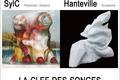 Expositions dans l' Orne en 2021