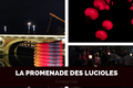 Art du spectacle dans la Haute-Garonne en 2019 et 2020