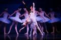 Danse dans la Seine-et-Marne en 2019
