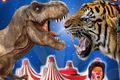 Art du spectacle dans le Jura en 2018 et 2019