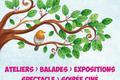 Festival dans le Vaucluse en 2019 et 2020