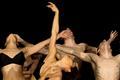 Danse dans les Landes en 2018 et 2019