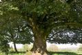 Art du spectacle dans les Landes en 2021