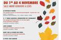 Festival dans le Nord en 2018 et 2019