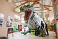 Art du spectacle dans le Tarn en 2021