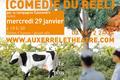Théâtre dans l' Yonne en 2020