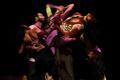 Danse dans la Meurthe-et-Moselle en 2021 et 2022