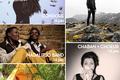 Concerts dans la Mayenne en 2019 et 2020