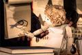 Spectacle enfant dans l' Aveyron en 2021