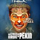Le Cirque PhÃ%onix-Cirque De PÃ%okin