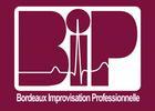 B.I.P Bordeaux Improvisation Professionnelle