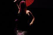 LiNa de Lolita DEL PINO - Performance Musique & Danse Flamenco